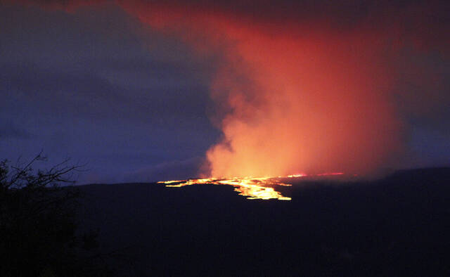 5668187_web1_AP22332650366945