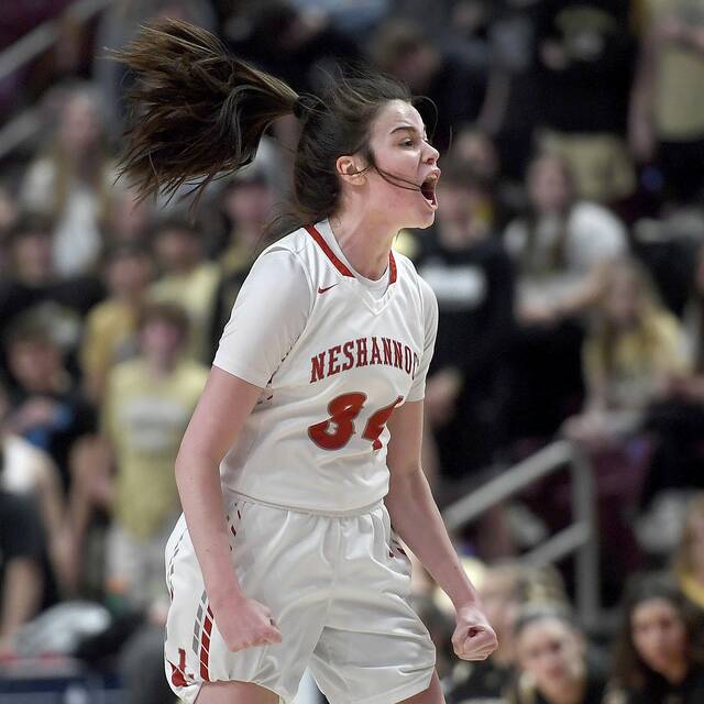 Trib HSSN 2022-23 WPIAL Class 3A girls basketball preseason breakdown