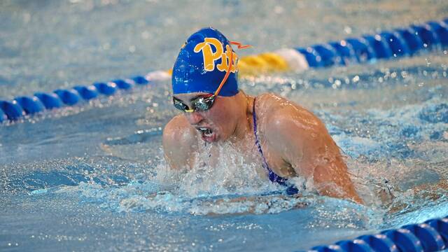 Pitt senior to coach Shaler swim teams