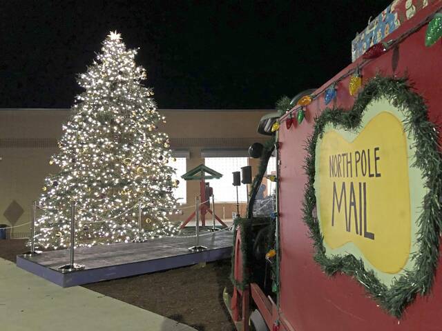 5661876_web1_vnd-plumchristmas7-120222