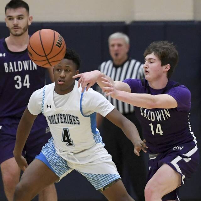 South Hills Record boys basketball preview: Baldwin boys thinking big