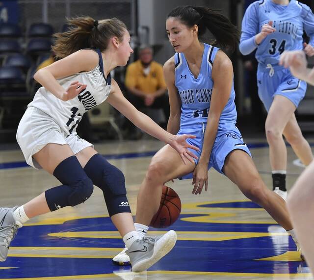 Trib HSSN 2022-23 WPIAL Class A girls basketball preseason breakdown