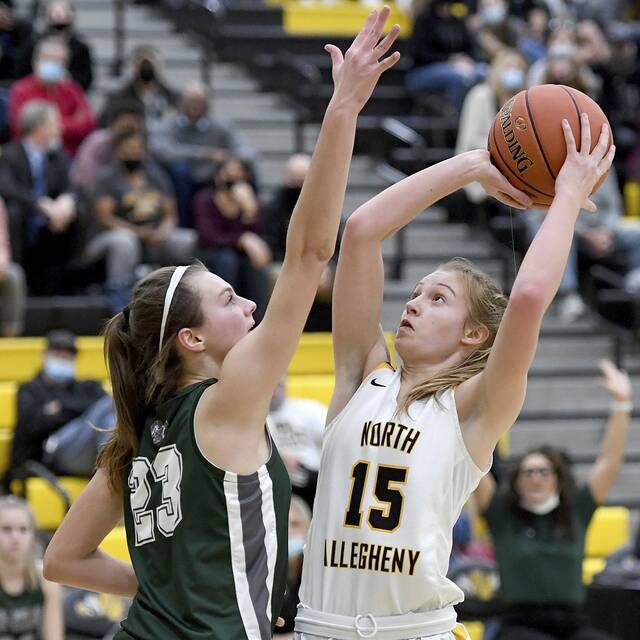 New coach excited to see how Pine-Richland girls progress