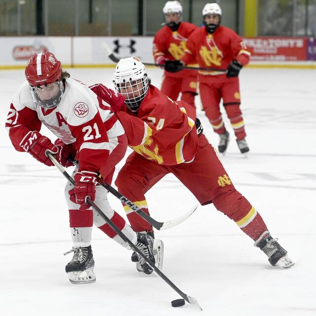 PIHL standings through Dec. 4, 2022