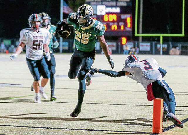 For 2nd straight December, The Birdie labors over a Westmoreland County state final pick