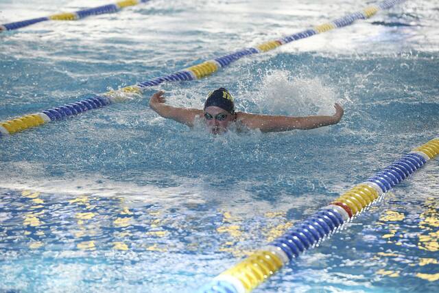 Freeport sophomore headlines swim season in A-K Valley