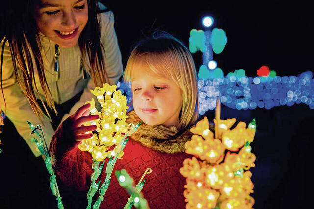 5700994_web1_gtr-liv-xmaslights-05-110319
