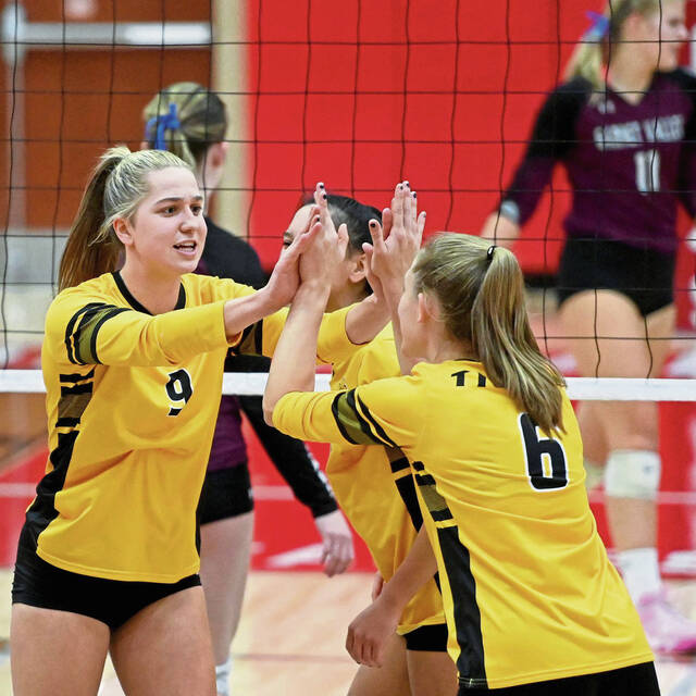 North Allegheny notebook: Girls volleyball players earn all-state honors