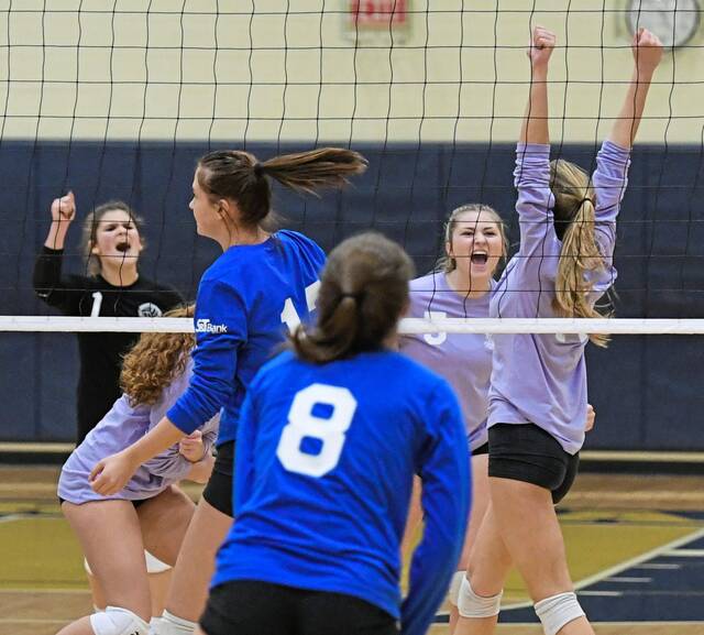 Volleyball event honors Ellen Toy, gathers area’s best seniors