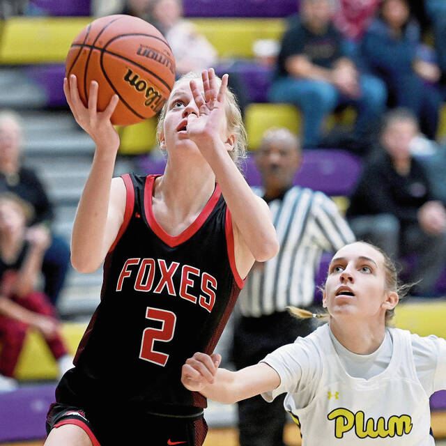 Fox Chapel girls add to win streak, hand Plum its first loss