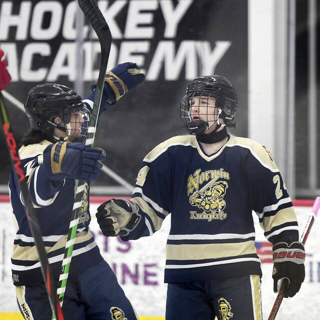 Norwin notebook: Basketball teams charge out of starting gate