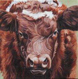 5736060_web1_PGKleincowportrait