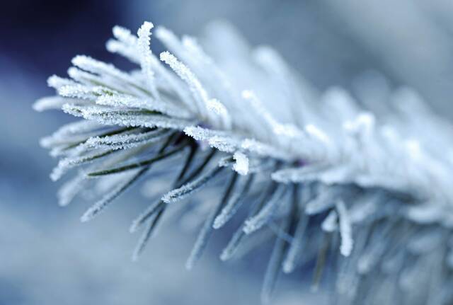 5745714_web1_web-FreezeIce