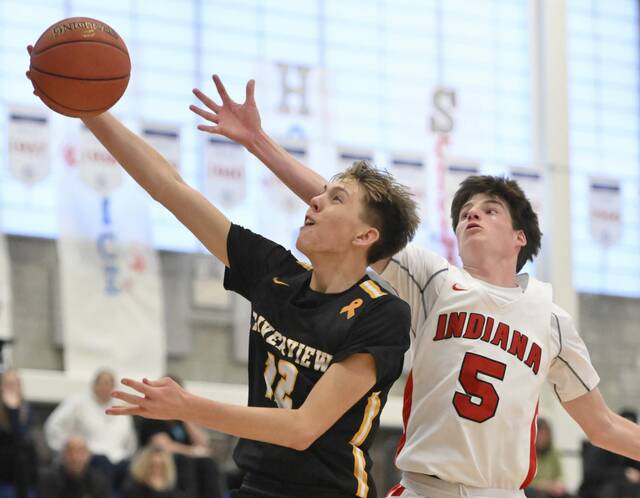 Resurgent Riverview boys match last year’s win total with victory at St. Joseph tournament