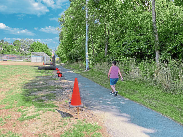 5758092_web1_Irwin-Park-walking-track-project