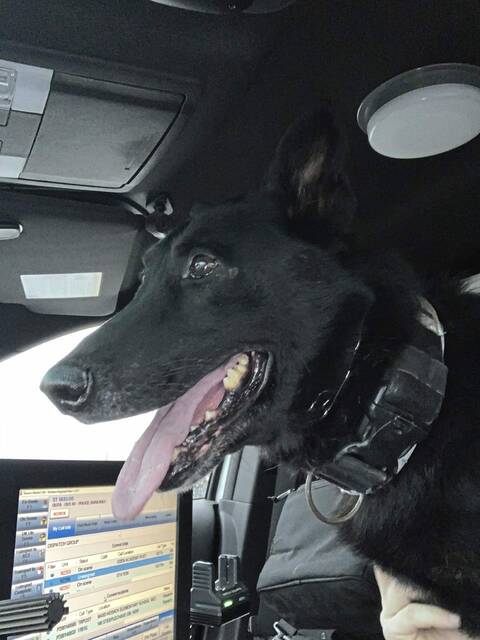5776267_web1_Nolte--car-3