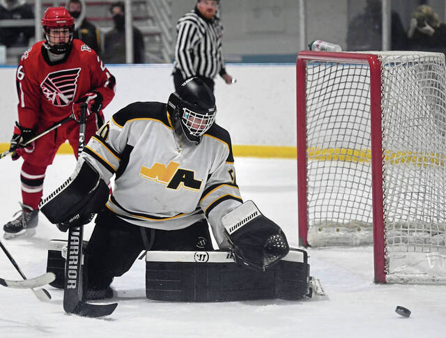 North Allegheny notebook: 6 NA hockey players named PIHL all-stars