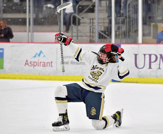 Westmoreland high school notebook: PIHL all-stars headed to RMU