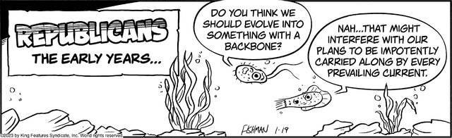 Slide 5