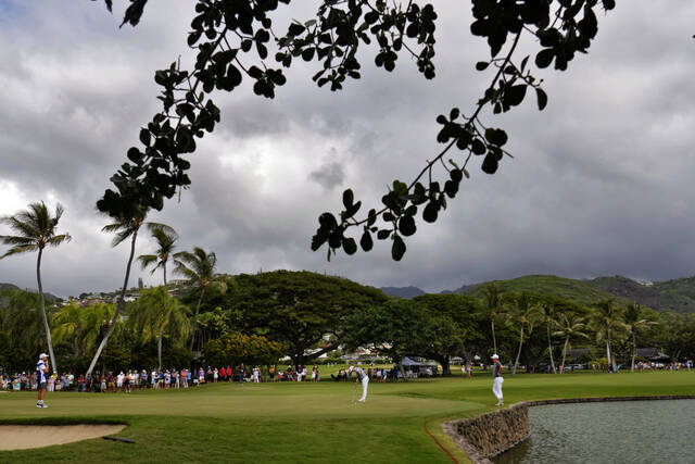 5813585_web1_5813585-a8248775a578499e965f53bec2822f32