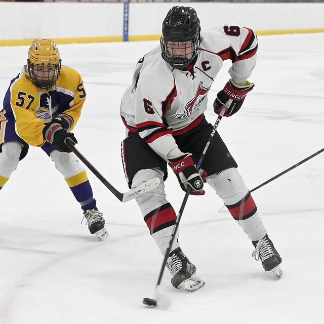 Fox Chapel notebook: Red-hot hockey team sends 7 to all-star game