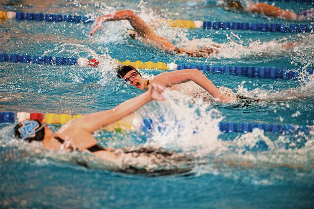 Plum swimmers seeing results after ‘intense holiday training’