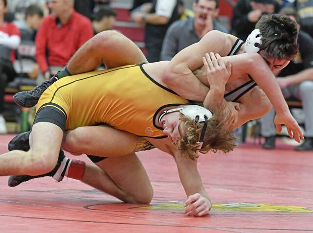 Fox Chapel 189-pounder coming into his own after strong showing at county meet