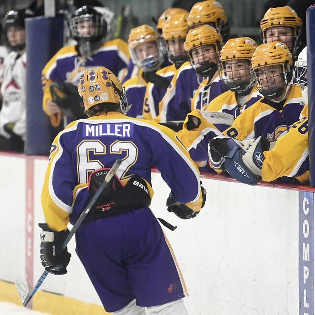 PIHL standings, playoff clinchings through Jan. 29, 2023
