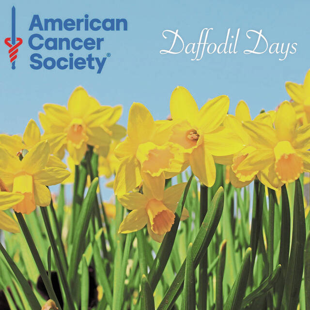 5826953_web1_gtr-DaffodilDays-011323