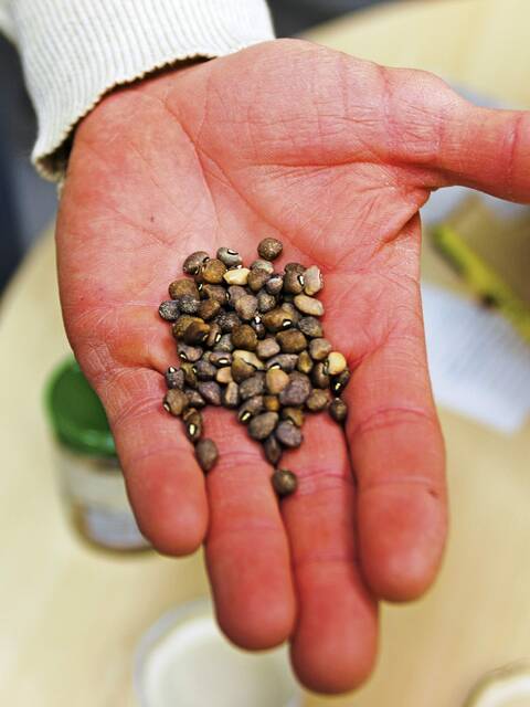 5864062_web1_te-seedswap-020923-4