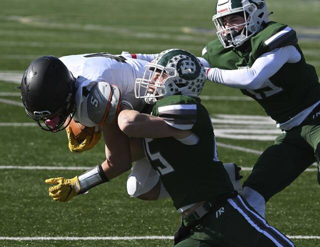 Pine-Richland’s Ryan Palmieri joins teammate in committing to Sacred Heart