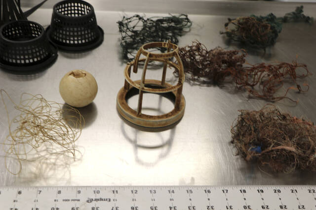 5870696_web1_5870696-e7c08c1adf7f4ae3a1411d6d586fb7dd