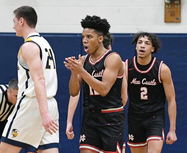 WPIAL boys basketball rankings: Week ending February 5, 2023