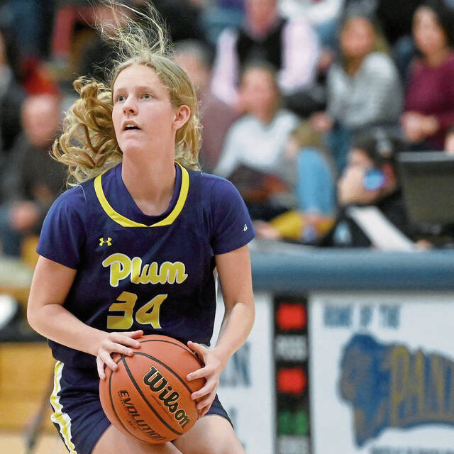 High school roundup for Feb. 9, 2023: Plum clinches playoff spot with upset win over Indiana