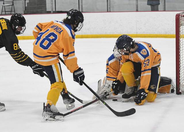 PIHL standings, playoff qualifiers through Feb. 12, 2023