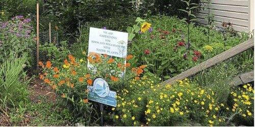 5904049_web1_nativeplants