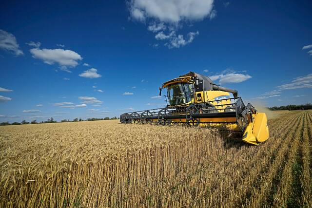 5910704_web1_AP22196194170085