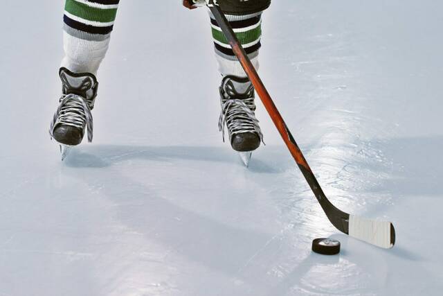 5912377_web1_hockeystock1