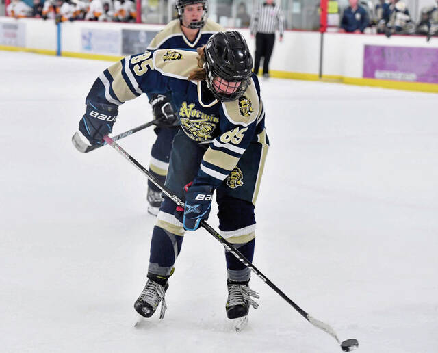 Norwin notebook: Alex Thomas sparks streaking hockey team