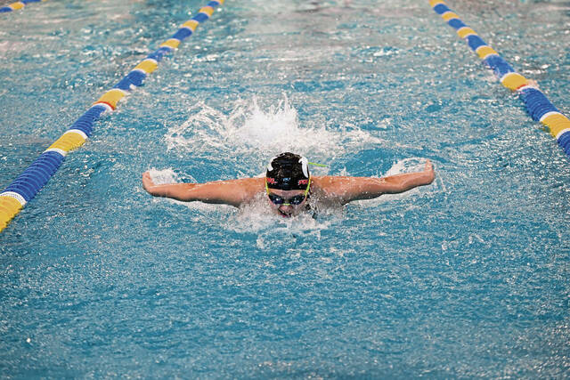 Fox Chapel swimmers stay motivated to collect more medals