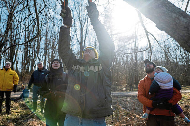 5917493_web1_gtr-lo-treepruning3-021923