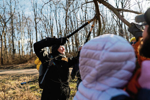5917493_web1_gtr-lo-treepruning4-021923