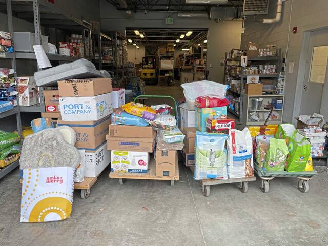 5922428_web1_SEW-PetFoodSuccess-030223