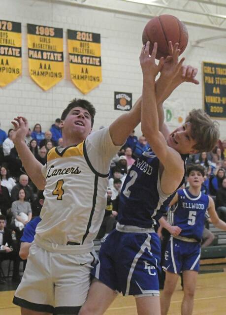 Experienced Deer Lakes runs past Ellwood City in boys Class 3A first round