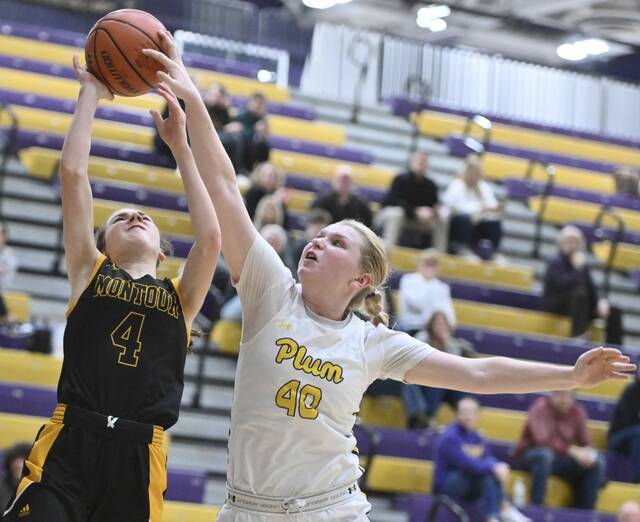 A-K Valley WPIAL basketball playoff capsules: Games for Tuesday, Feb. 21, 2023