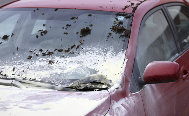 5931673_web1_5931673-0044996a1fe945efb99d5527dcfe9f90