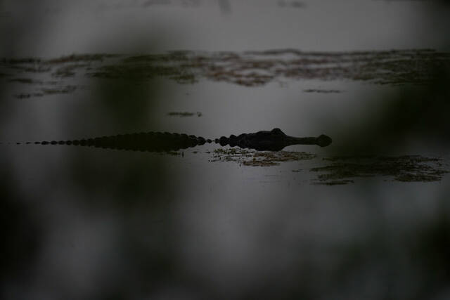 5931962_web1_AP22243436088285