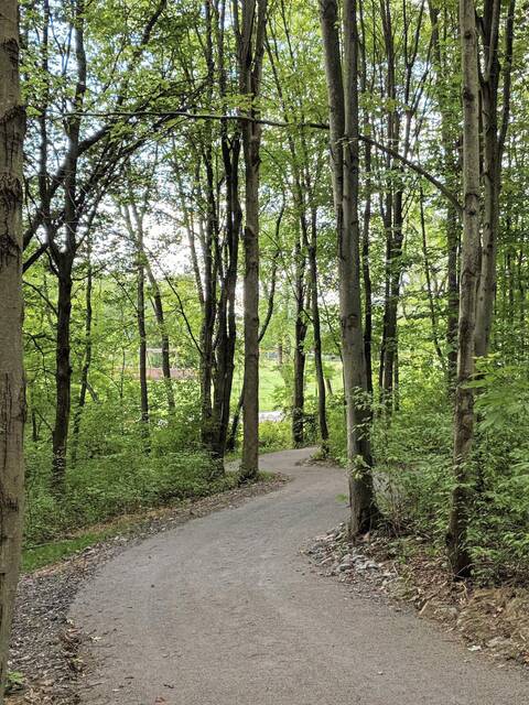 5934440_web1_trail3
