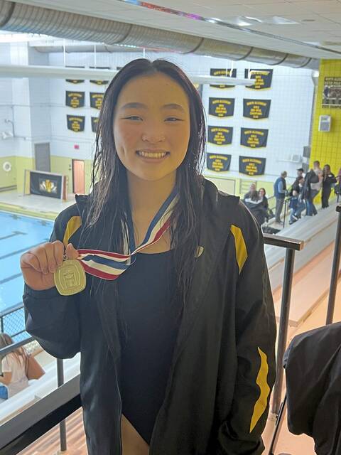 North Allegheny’s Shi wins 4th straight WPIAL diving gold