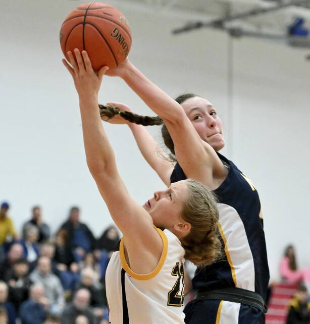 Westmoreland County high school basketball notebook: Future bright for Norwin girls